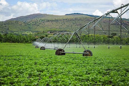 Agriculture & Farming